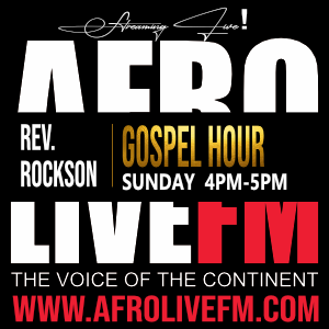 Radio station wordpress themes